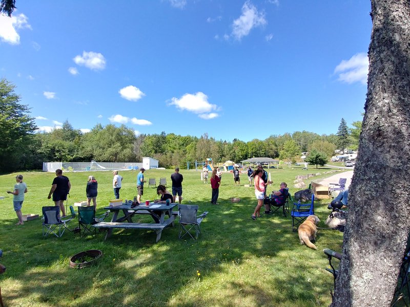 Field games day